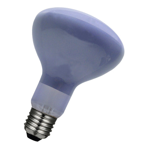 Bailey - 80101041309 - Laes LED R95 Neodym E27 6W 4000K Fish 90D Light Bulbs Bailey - The Lamp Company