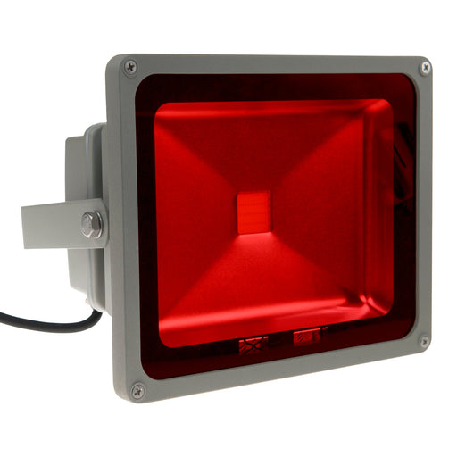 Bailey - 90500036598 - LED Floodlight Colour 20W Red 100V-240V Light Bulbs Bailey - The Lamp Company