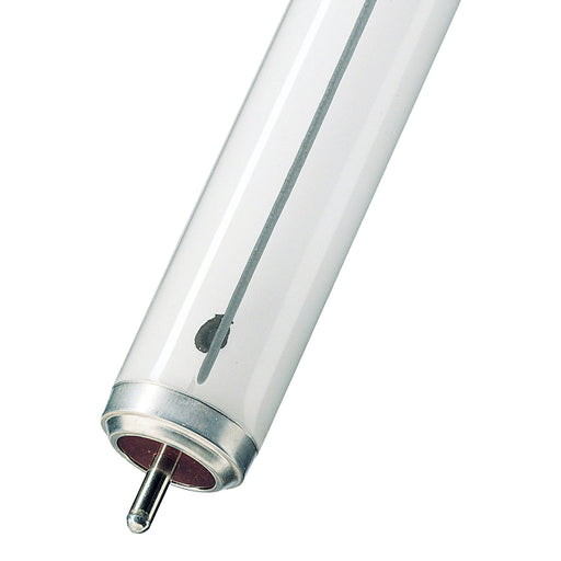 Bailey - 143500 - TL-X Fa6 20W/33 Cool White Light Bulbs Bailey - The Lamp Company