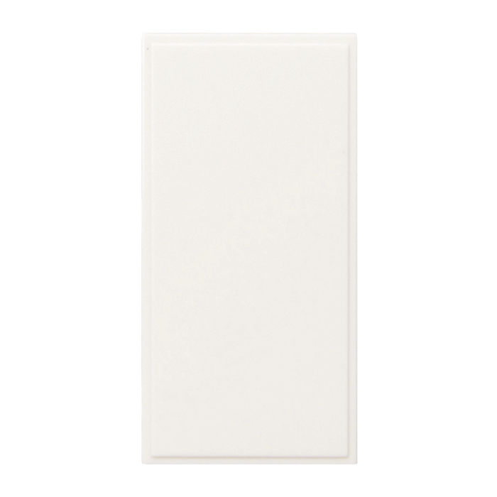 Caradok Blank Plate 25x50, White