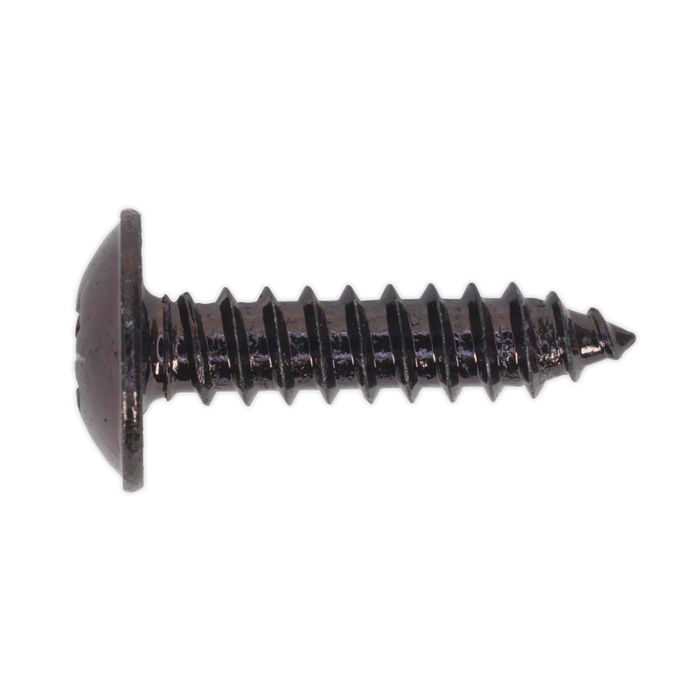 Sealey - BST4819 Self Tapping Screw 4.8 x 19mm Flanged Head Black Pozi BS 4174 Pack of 100 Consumables Sealey - Sparks Warehouse
