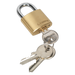 Sealey - PL100 Brass Body Padlock 30mm Storage & Workstations Sealey - Sparks Warehouse