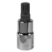 Sealey - SBS016 Spline Socket Bit M12 1/2"Sq Drive Hand Tools Sealey - Sparks Warehouse